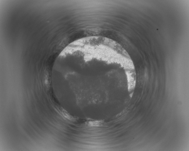 X0000063440134200602171841