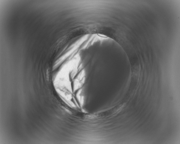 X0000063440139200602171841
