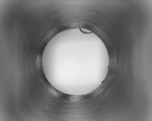 X0000063440142200602171841