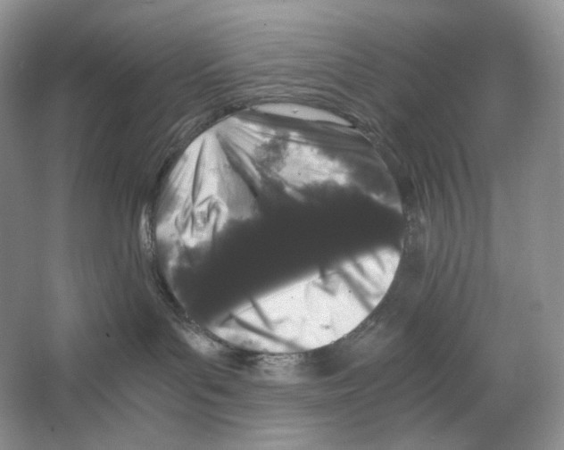 X0000063440143200602171840