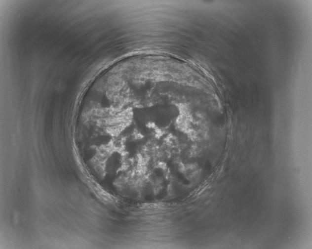 X0000063440145200602171840