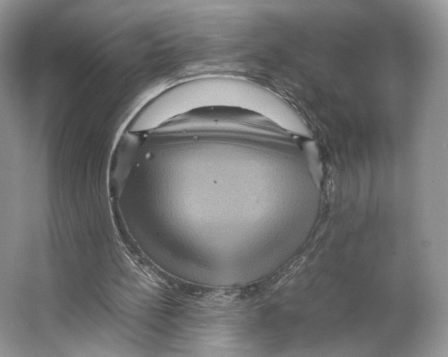 X0000063440148200602171840