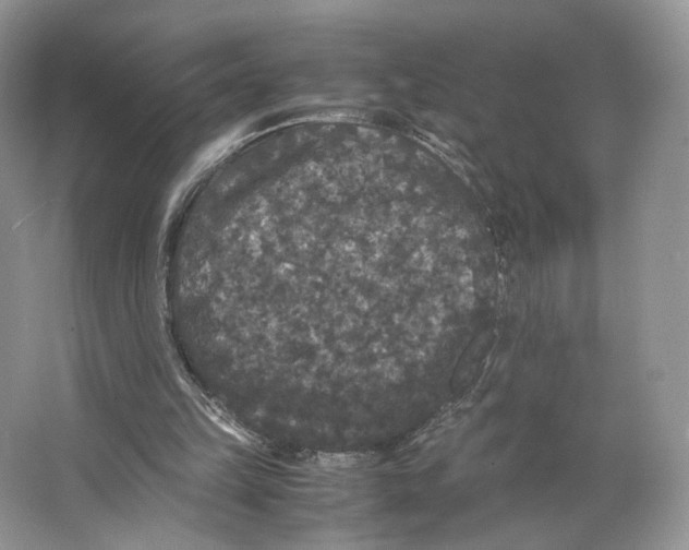 X0000063440149200602171840
