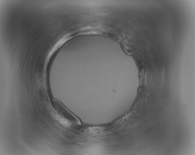 X0000063440150200602171840