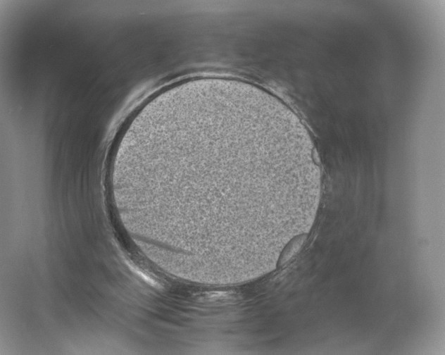 X0000063440151200602171840