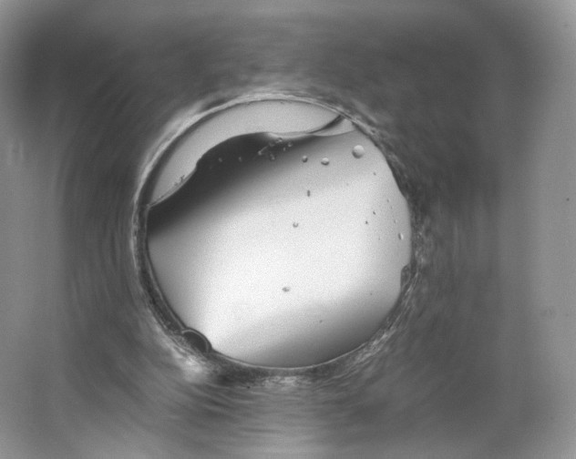 X0000063440152200602171840