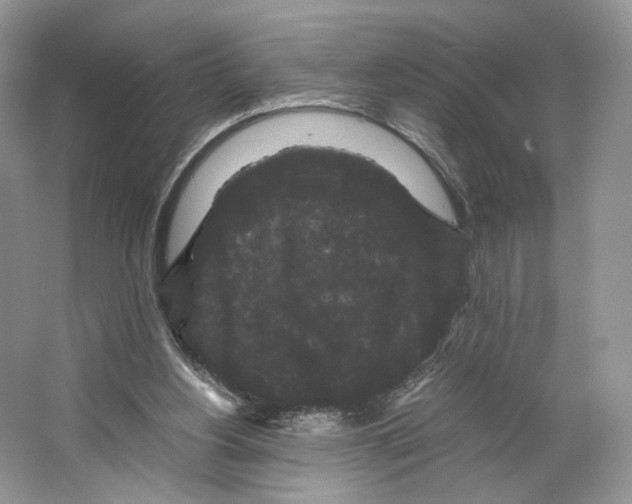 X0000063440156200602171840