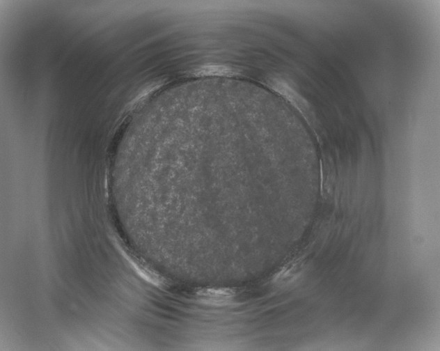 X0000063440157200602171840