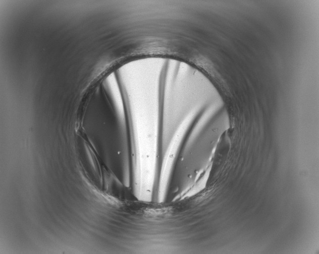 X0000063440160200602171840