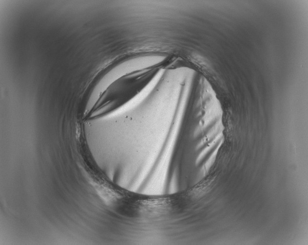 X0000063440164200602171840