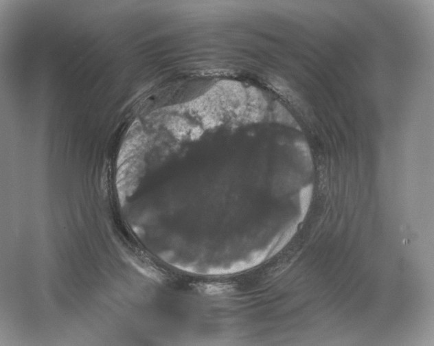X0000063440165200602171840