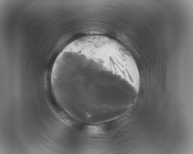 X0000063440167200602171840