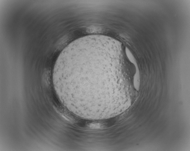 X0000063440171200602171840