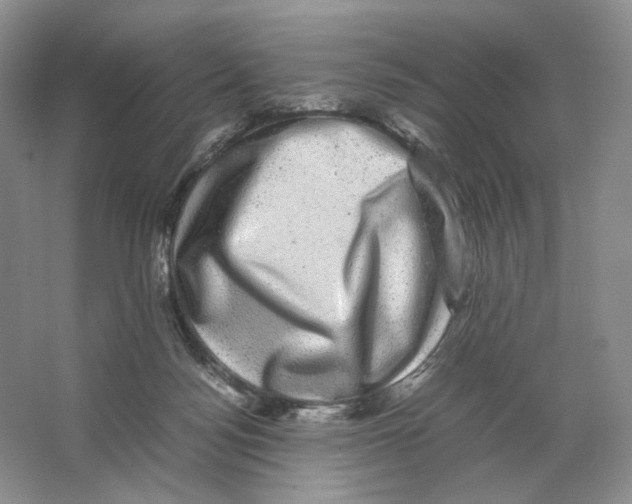 X0000063440172200602171840