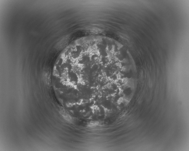X0000063440177200602171840