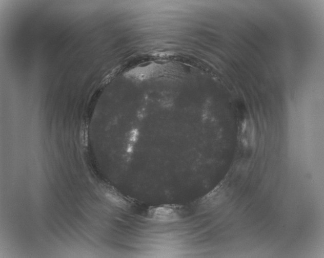 X0000063440180200602171840