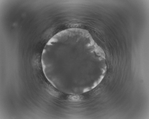 X0000063440181200602171840