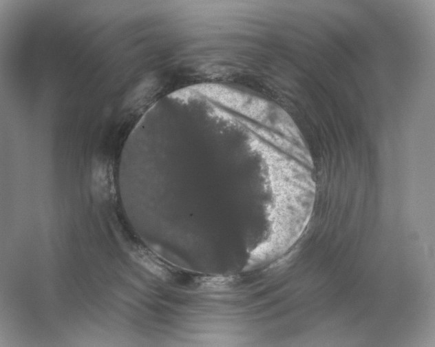 X0000063440182200602171840