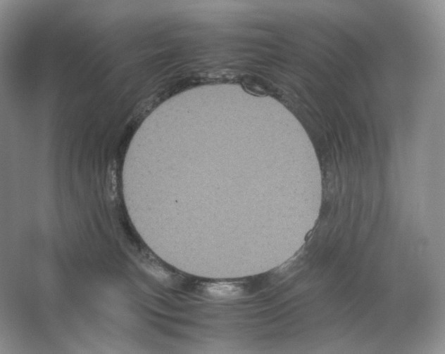 X0000063440183200602171840