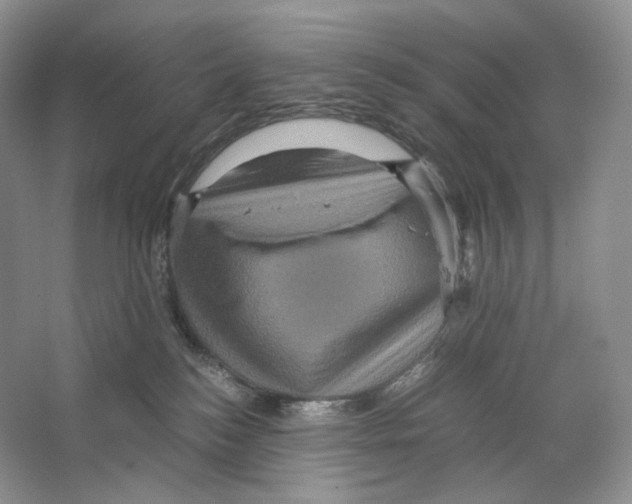 X0000063440184200602171840