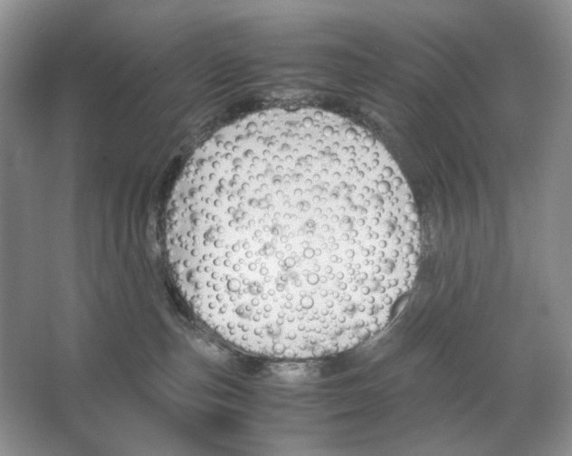 X0000063440187200602171840