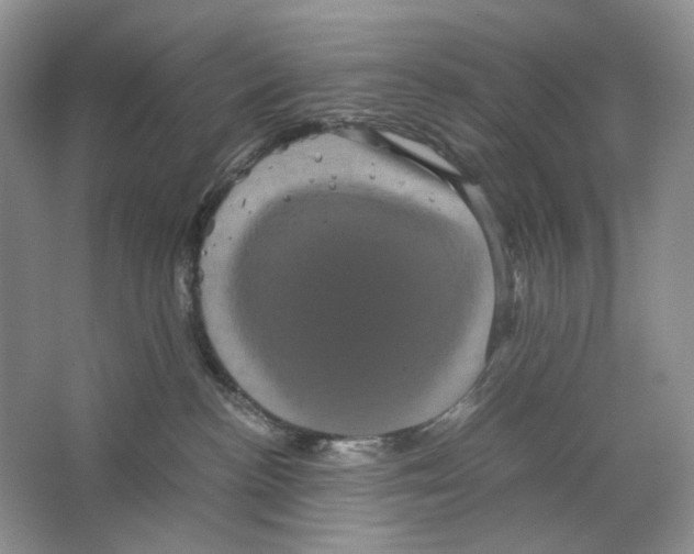 X0000063440188200602171840