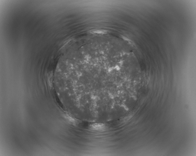 X0000063440189200602171840