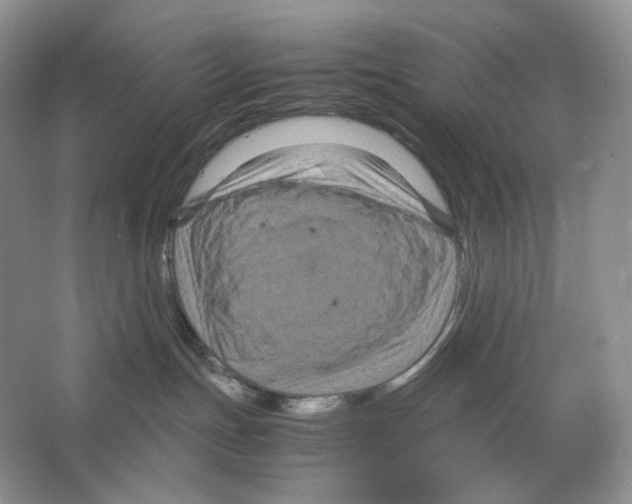 X0000063440191200602171840