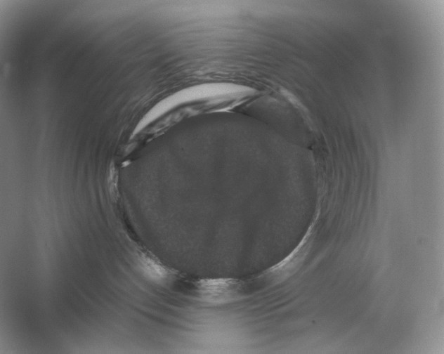 X0000063440192200602171840