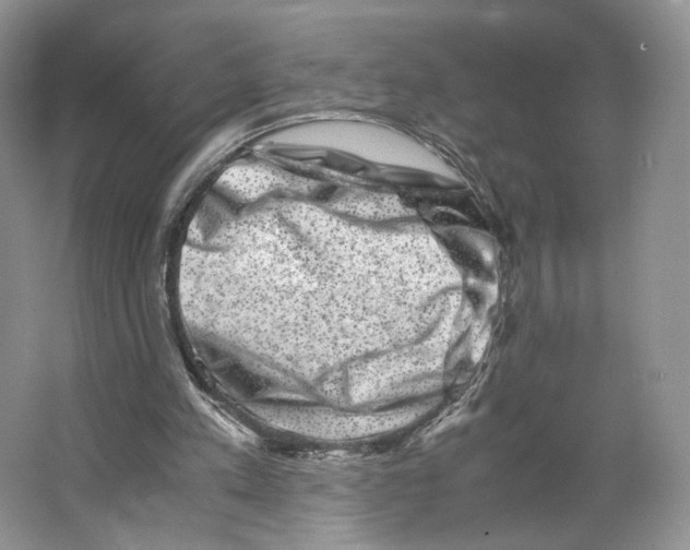 X0000063440197200602171840
