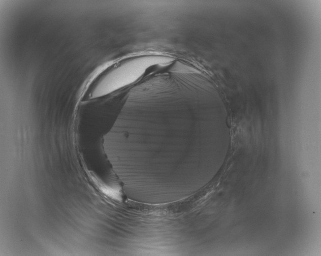 X0000063440200200602171839