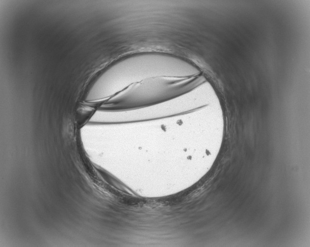 X0000063440201200602171839