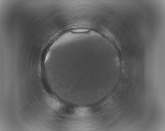X0000063440202200602171839