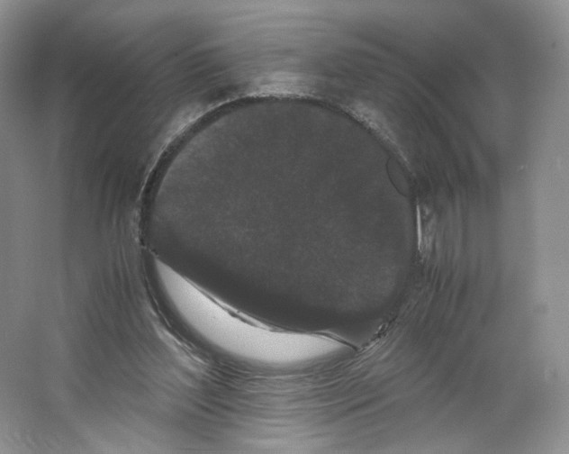 X0000063440204200602171839