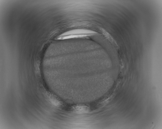 X0000063440209200602171839