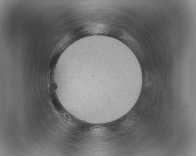 X0000063440210200602171839
