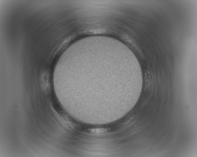X0000063440212200602171839