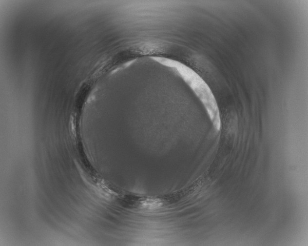 X0000063440214200602171839