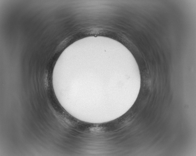 X0000063440216200602171839
