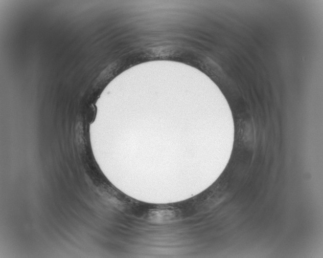 X0000063440220200602171839
