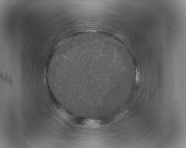 X0000063440221200602171839