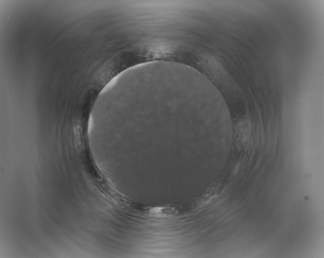 X0000063440222200602171839