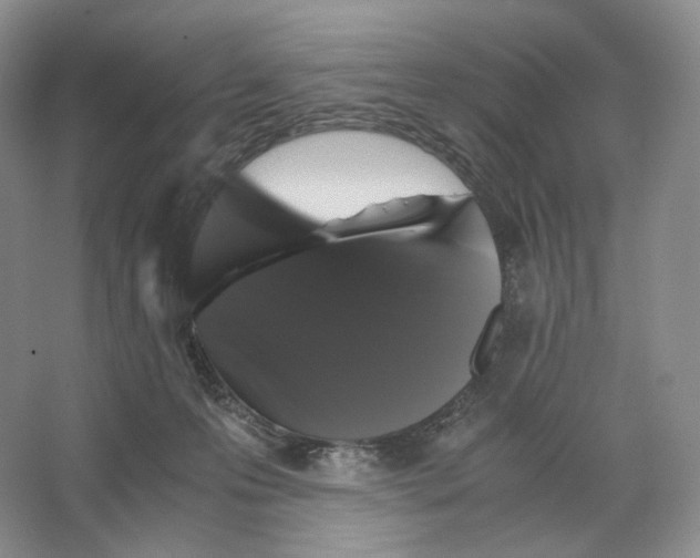 X0000063440223200602171839