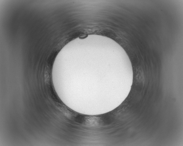 X0000063440226200602171839