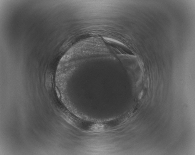 X0000063440227200602171839