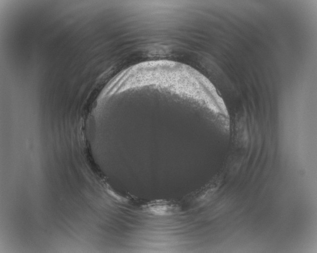 X0000063440228200602171839
