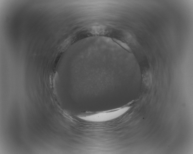 X0000063440233200602171839