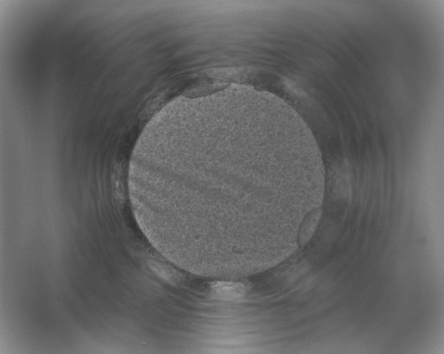 X0000063440234200602171839