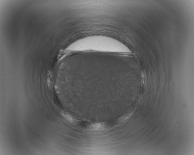 X0000063440237200602171839