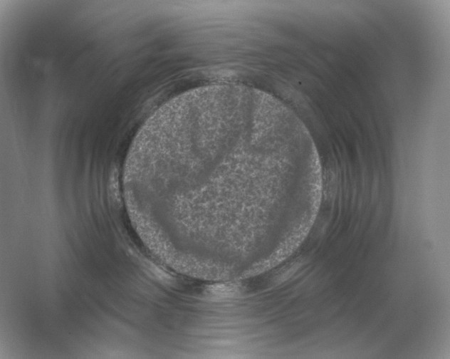 X0000063440238200602171839